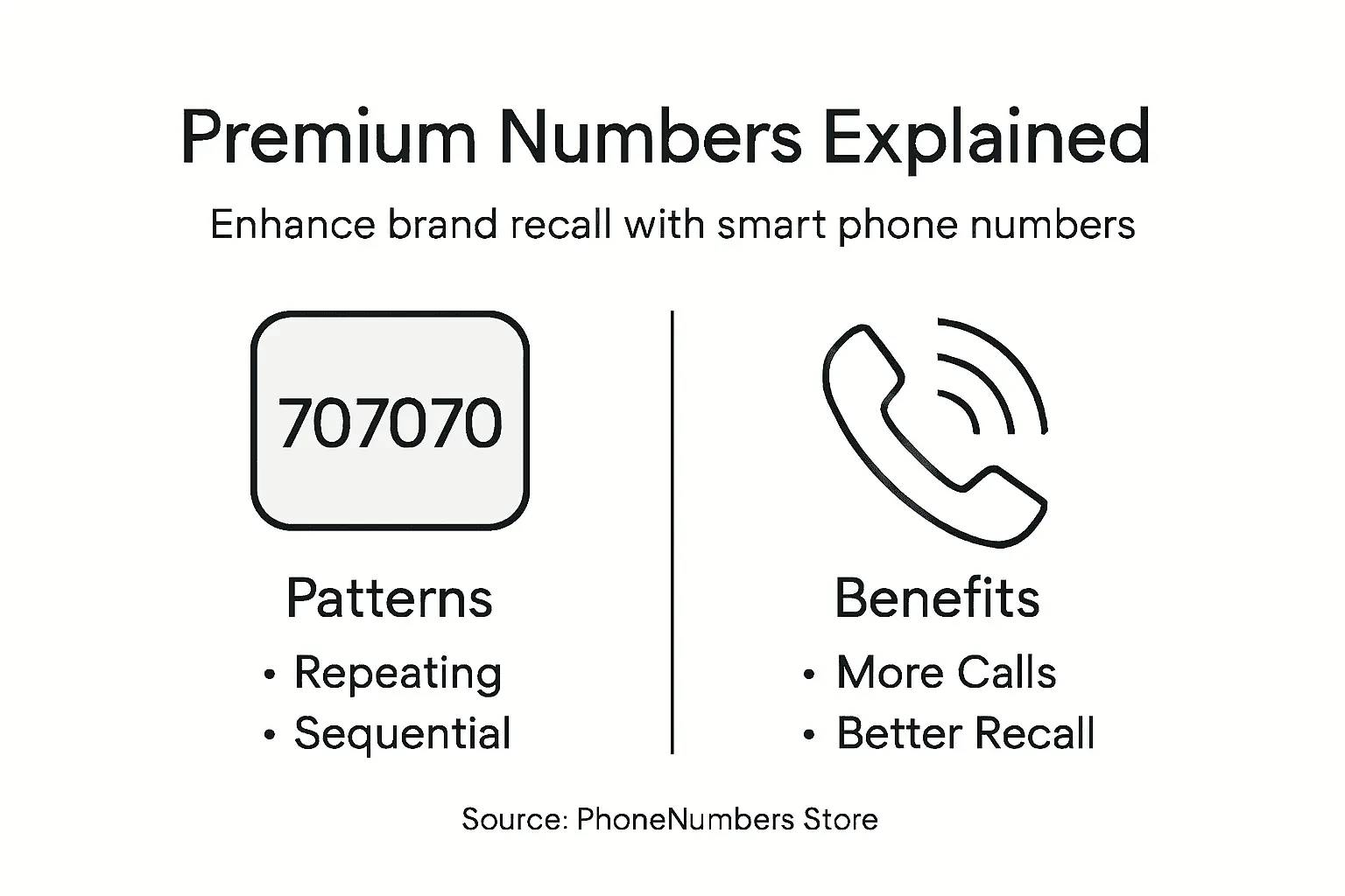 Infographic summarizing premium memorable numbers overview