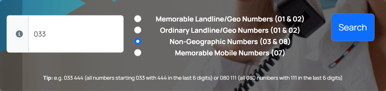 The search box with Non-Geographic Numbers chosen and 033 entered