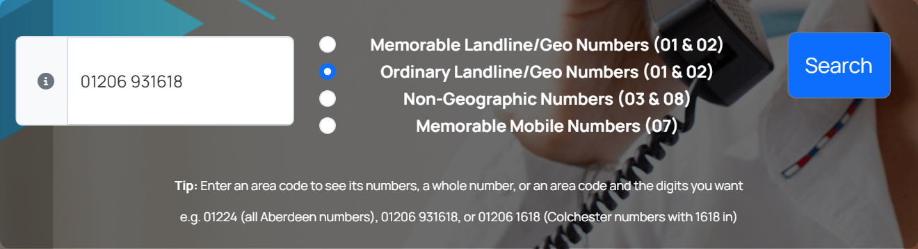 The search box with Ordinary Landline/Geo Numbers chosen and the whole number 01206 931618 entered